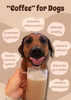 Barkista Caramel Latte K-9™ Cups Dog Coffee