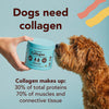 Natural Dog Company Collagen Supplement Soft Chews