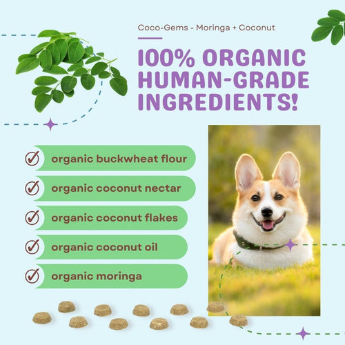 CocoTherapy Coco-Gems Training Treats Moringa + Coconut - Organic Training Treat for dogs