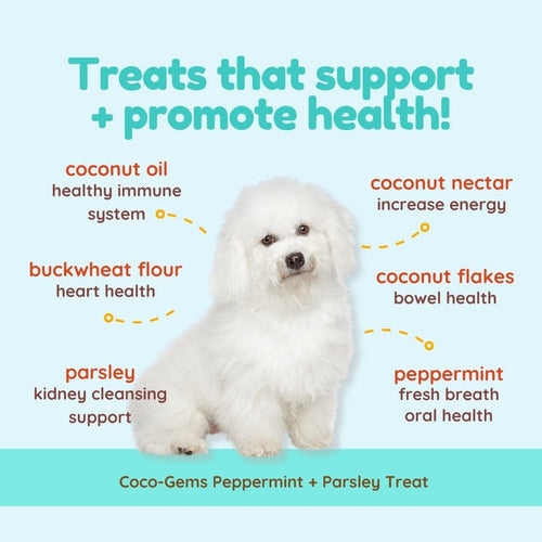 CocoTherapy Coco-Gems Training Treats Peppermint + Parsley - Organic Training Treat for dogs