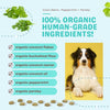 CocoTherapy Coco-Gems Training Treats Peppermint + Parsley - Organic Training Treat for dogs