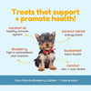 Coco Therapy Coco-Charms Training Treats Blueberry Cobbler - Organic Training Treat for dogs