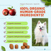 CocoTherapy Maggie's Macaroons Coconut Apple Pie - Organic Coconut Treat for Dogs