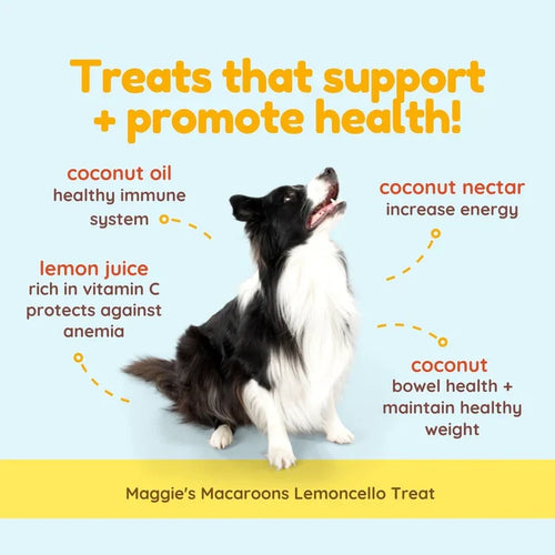 CocoTherapy Maggie's Macaroons Coconut Lemoncello - Organic Coconut Treat for Dogs