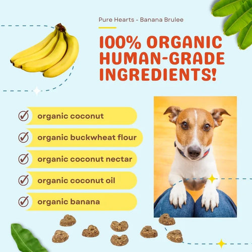 CocoTherapy Pure Hearts Coconut Cookies Banana Brulée - Organic Treat for Dogs