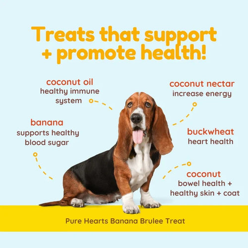 CocoTherapy Pure Hearts Coconut Cookies Banana Brulée - Organic Treat for Dogs