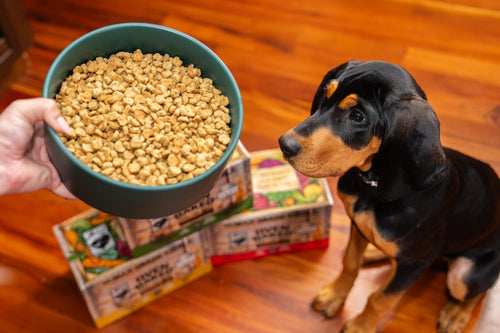 Wet Noses Oven Baked Food Kibble for Dogs - Chicken