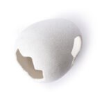 Galapagos Ceramic Egg Hide