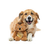 Guru Soft Scents Hedgehog Dog Toy (11”L x 7”W x 3.75”H - Peanut Butter)