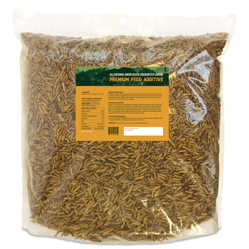 Exotic Nutrition Grub-Worms Black Soldier Fly Larvae