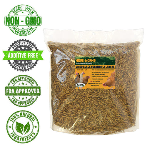 Exotic Nutrition Grub-Worms Black Soldier Fly Larvae