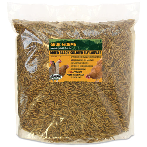 Exotic Nutrition Grub-Worms Black Soldier Fly Larvae