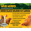 Exotic Nutrition Grub-Worms Black Soldier Fly Larvae