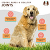 Natural Dog Company Liquid Glucosamine Hip & Joint Oil for Dogs