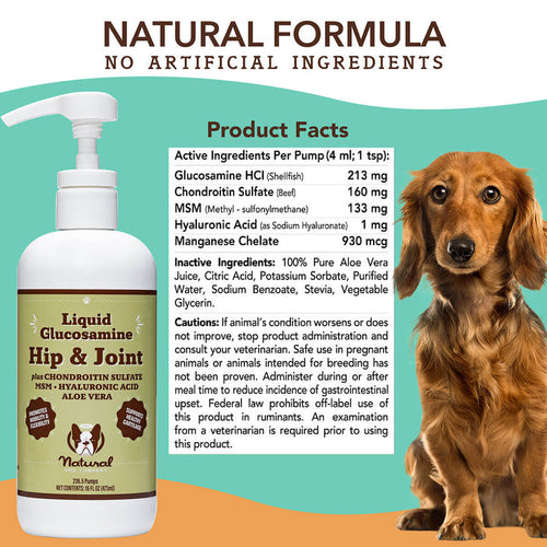 Natural Dog Company Liquid Glucosamine Hip & Joint Oil for Dogs