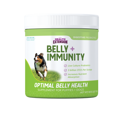 Health Extension Holistic Belly + Immunity Digestive Probiotic Supplement for Dogs