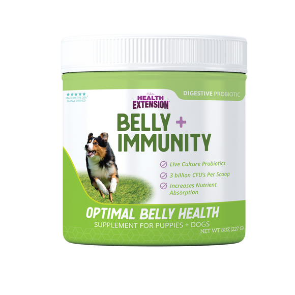 Health Extension Holistic Belly + Immunity Digestive Probiotic Supplement for Dogs