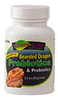 Nature Zone Bearded Dragon Herp Pro Probiotica & Prebiotics Supplements (2.8 oz)