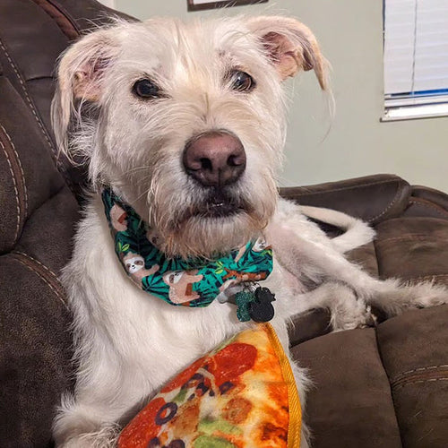 Doggijuana Tuffer Chewer Refillable Supreme Pizza Dog Toy