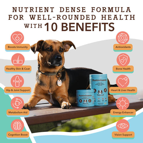 Natural Dog Company Multivitamin Supplement Soft Chews for Dogs (90 Count)