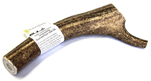 Tuesdays Natural Dog Company Elk Antler - Huge Whole Dog Treats