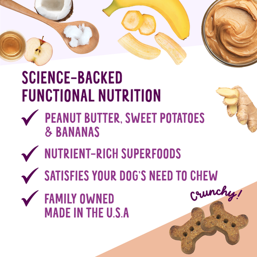 Health Extension Oven Baked Peanut Butter Recipe with Banana Dog Treats