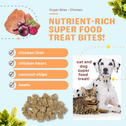 CocoTherapy Organ Bites! Chicken Organs + Beets + Coconut - Raw Organ Meat Treat for dogs and cats