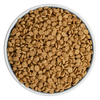 BIXBI RAWBBLE® DRY DOG FOOD - PORK RECIPE