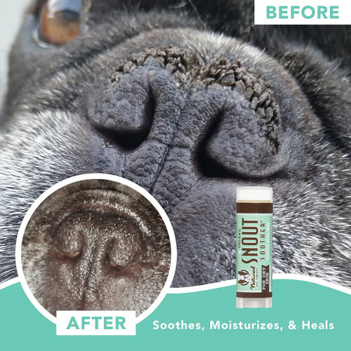 Natural Dog Company Snout Soother® Travel Stick