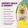 Health Extension Appetite + Energy Stress Relief Supplement for Dogs