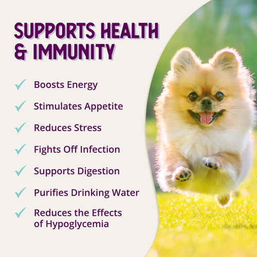 Health Extension Appetite + Energy Stress Relief Supplement for Dogs