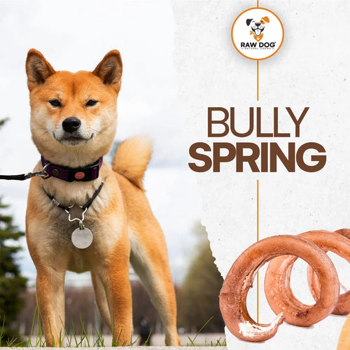 Raw Dog Bully Spring Chews Dog Treats