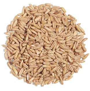 Exotic Nutrition Whole Oats (4 lb)