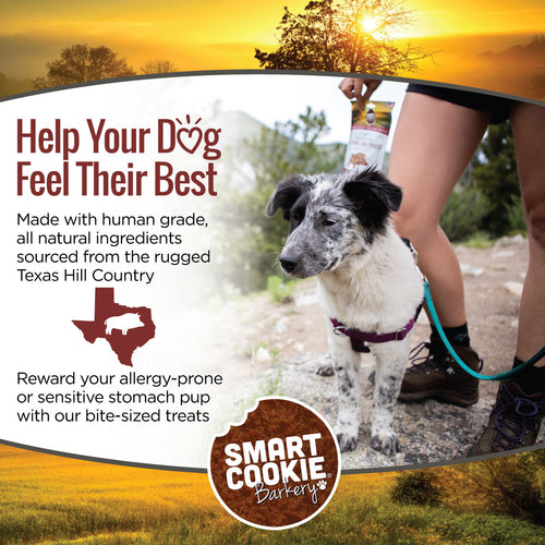 Smart Cookie Wild Boar & Sweet Potato Grain Free Dog Treats for Sensitive Stomachs & Allergies