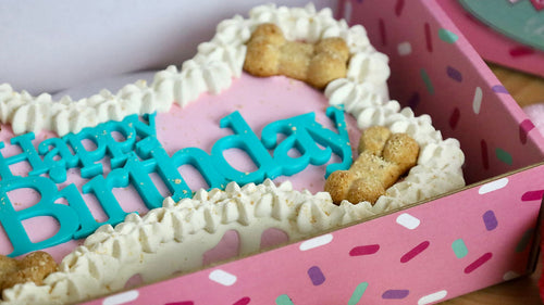 Dog Cakes | Dog Birthday Cakes | Bone Cake