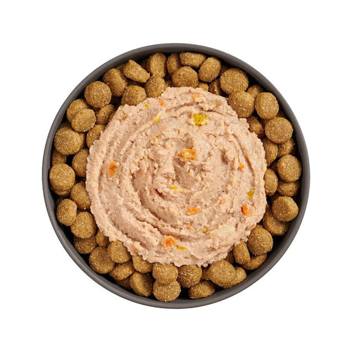 Petcurean Go! Solutions Booster Chicken + Duck Pâté for Digestive Health Wet Dog Food