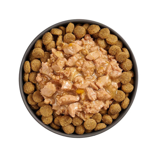 Petcurean Go! Solutions Booster Minced Chicken with Gravy for Joint Care Wet Dog Food