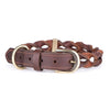 MyFamily Brown Ascot Dog Collar in Leather