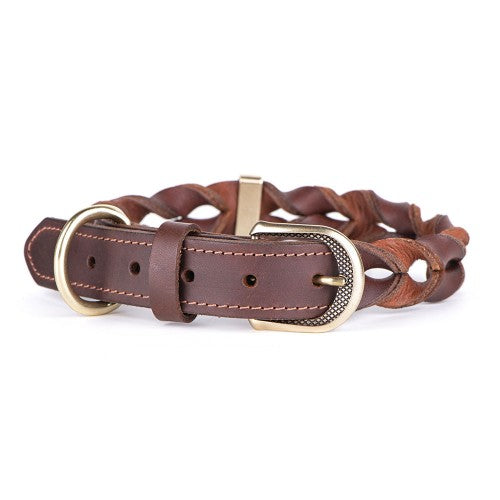 MyFamily Brown Ascot Dog Collar in Leather