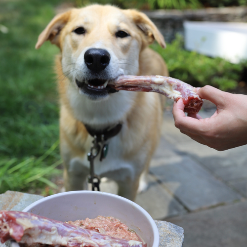 Oma's Pride Whole Skinless Duck Necks