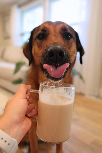 Barkista Caramel Latte Instant Dog Coffee