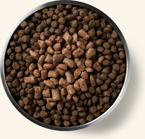 Vital Essentials Freeze Dried Raw Protein Mix-In Beef Recipe Mini Nibs Topper for Dogs