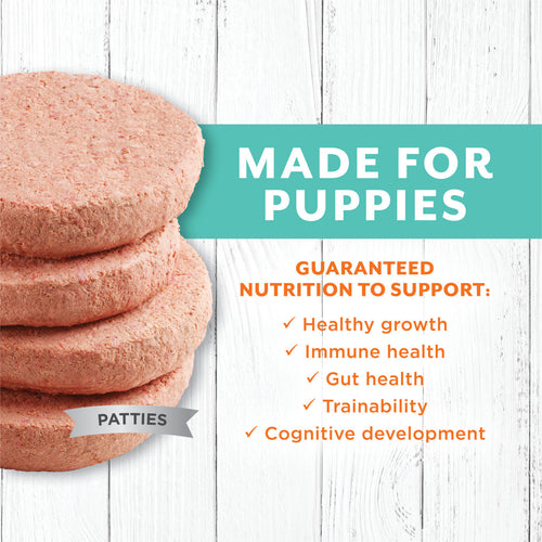 Nature's Variety Instinct Raw Longevity Puppy Frozen Chicken Patties Dog Food