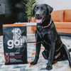 GO! Skin + Coat Care Large Breed Puppy Salmon Recipe With Grains