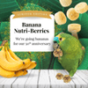 Lafeber Banana Nutri-Berries Parrot