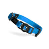 MyFamily Memopet® Blue Cat Collar