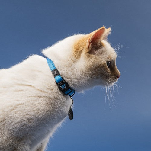 MyFamily Memopet® Blue Cat Collar