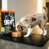 Petcurean GO! Solutions CARNIVORE  GRAIN-FREE CHICKEN, TURKEY + DUCK PUPPY RECIPE