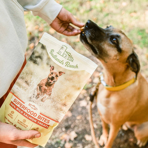 Badlands Ranch Freeze-Dried Raw Superfood Bites Salmon Treats Dog Food