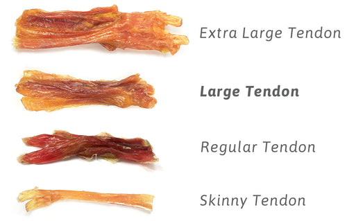 Tuesdays Natural Dog Company Large Beef Tendons Dog Treats (Bulk)